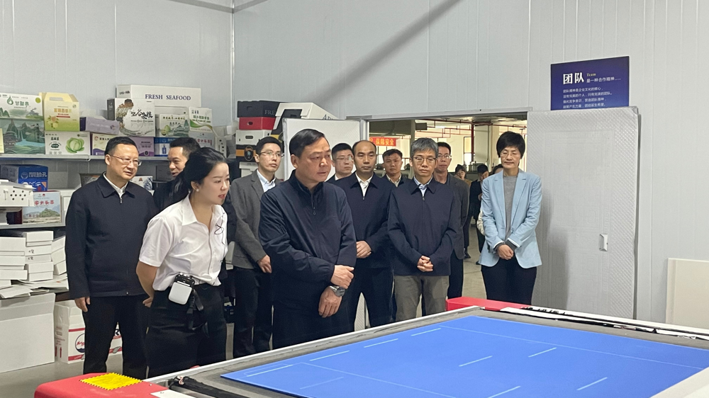 市政府主要領導蒞臨綠樹公司考察調研